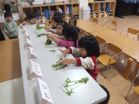 ����ʤ��ˡ����Ի׵Ĥ����ˤ��äȸ��Ƥ��ޤ�����