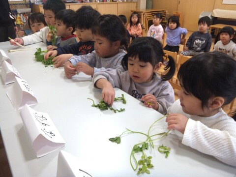 ���졢�ϤäѤ��������͡�