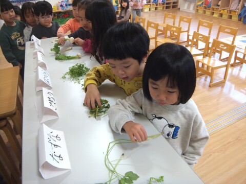 ����Ϥ��٤���Ρ�