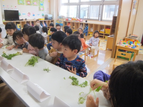 ���줬�ʤʤ������Ϥäѡ�