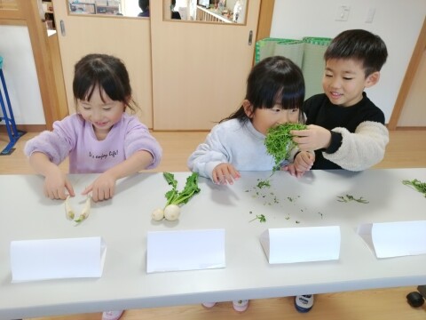 �����򤫤��ǡ֤��������ס֤����ˤ������ס֤��٤�Ρ��פȶ�̣�š���