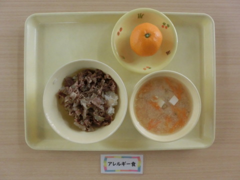 �����ε뿩�ʥ���륮���б�����