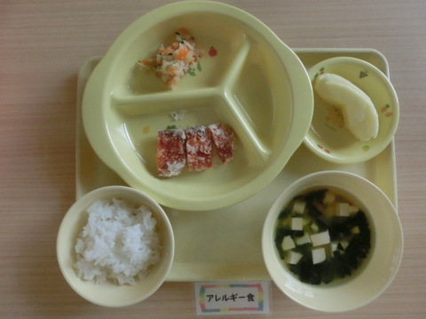 �����ε뿩�ʥ���륮���б�����