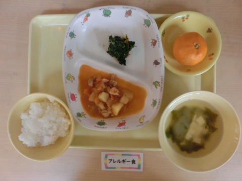 �����ε뿩�ʥ���륮���б�����