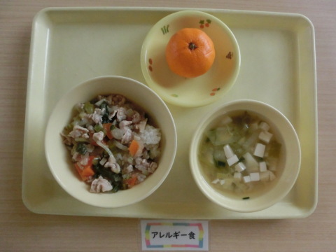 �����ε뿩�ʥ���륮���б�����