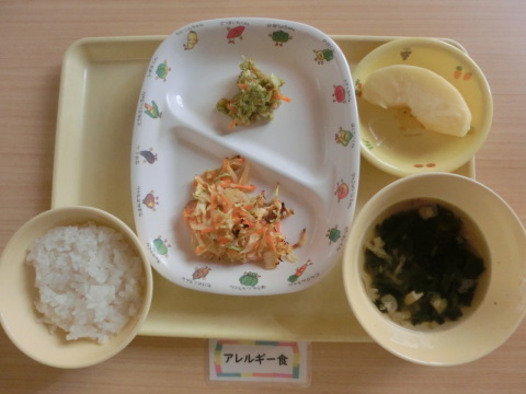 �����ε뿩�ʥ���륮���б�����