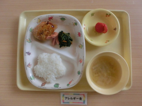 �����ε뿩�ʥ���륮���б�����