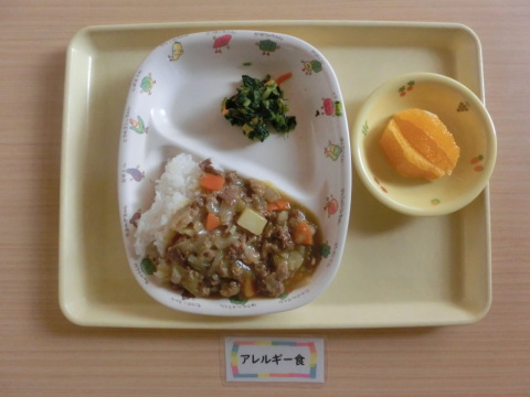 �����ε뿩�ʥ���륮���б�����