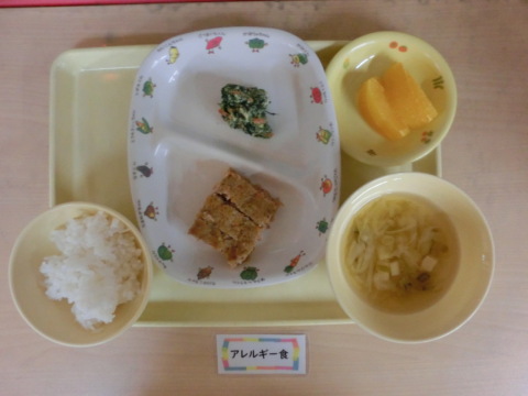 �����ε뿩�ʥ���륮���б�����