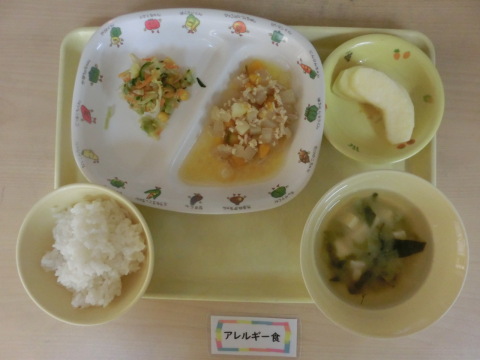 �����ε뿩�ʥ���륮���б�����