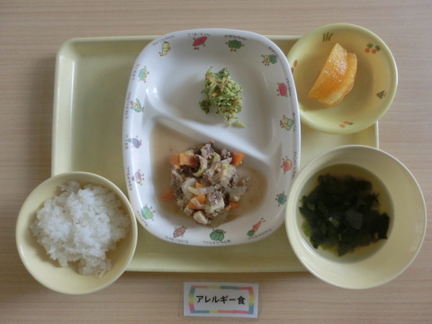 �����ε뿩�ʥ���륮���б�����